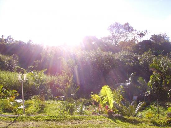Entretien espace vert Île de La Réunion