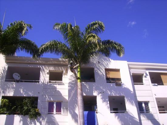 Paysagiste Île de La Réunion