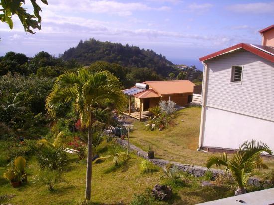 Entretien espace vert Île de La Réunion